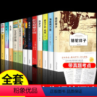 [全12册]初中必读名著十二本 [正版]初中名著十二本 朝花夕拾西游记必读必读的鲁迅水浒传原著老师七年级课外阅读书籍中考