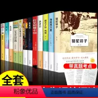 [全12册]初中必读名著十二本 [正版]初中名著十二本 朝花夕拾西游记必读必读的鲁迅水浒传原著老师七年级课外阅读书籍中考
