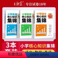 核心知识集锦[语文+数学+英语](不偏科) 小学通用 [正版]核心知识集锦语文数学英语小学知识点汇总基础知识大盘点一二三