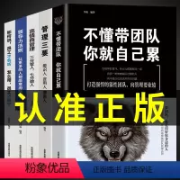 [正版]全5册管理学管理类书籍企业领导力者的成功法则识人用制度管人不懂带团队你就自己累管理就是带团队三要如何开店营销方