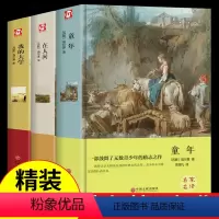 [精装3册]高尔基三部曲 [正版]母亲完整版 高尔基原著 世界经典文学名著外国小说 童年在人间和我的大学四部曲三小学生高