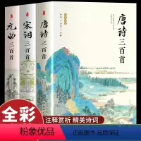 [正版]全3册 唐诗宋词元曲三百首全集全解详注鉴赏辞典中国古诗词大全原著完整版初中生儿童选读详析精选成人版诗词格律中华