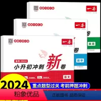 [全套3册]语数英小升初冲刺新卷 小学升初中 [正版]2024小升初冲刺新卷语文数学英语人教版 小学六年级下册试卷测试卷