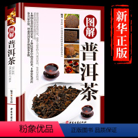 [正版]图解普洱茶 普洱茶书籍 中国云南洱茶书大全茶经茶文化茶道茶艺图鉴 中国茶茶事茶叶通史茶类书籍 识茶泡茶品茶普