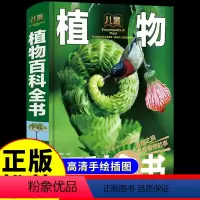 植物百科全书 [正版]精装植物百科全书图鉴大全彩绘版6-15岁小学生世界园林植物花卉树木大百科神奇自然奇趣植物科普绘本有