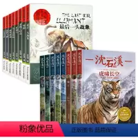 [全套16册]沈石溪动物小说+沈石溪动物画本 [正版]沈石溪动物小说全集全套8册四年级至六年级必读课外书老师读物五年级适
