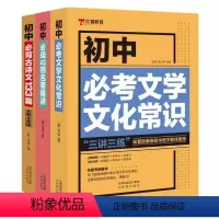 初中语文知识大全(全套3册) 初中通用 [正版]初中必背古诗文133篇七八九年级文化文学常识积累中学生名著导读考点精练精