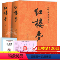 红楼梦 [正版]全2册红楼梦原著 红楼梦上下 人民文学出版社完整版无删减带注释文言文原版青少年版人民教育初中生高中生四大