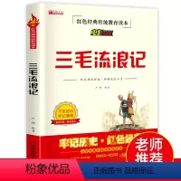 三毛流浪记 [正版]三毛流浪记全集三年级必读课外书 小学生红色经典传统教育读本文学丛书儿童读物故事书适合四五六年级阅读书