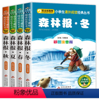 (全4本)森林报 [正版]森林报全集 春夏秋冬全四册 完整版彩绘注音版儿童故事绘本全套4册 一二年级小学生课外阅读书籍四
