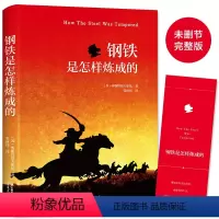[正版]钢铁是怎样炼成的原著全译中文无删节完整版世界经典文学名著小说中小学生青少年初中生奥斯特洛夫斯基著张向伟译