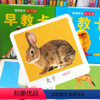 [正版]儿童早教认知卡片全套4盒看图识物动物宝宝婴儿启蒙宝宝2岁图片益智1水果蔬菜书籍一岁书一岁半幼儿彩色认颜色纯色认