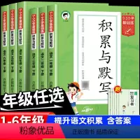 [4本]积累与默写+53全优卷+53天天练+归类复习 一年级下 [正版]2024版53小学基础练积累与默写一年级二年级三