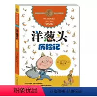 洋葱头历险记 [正版]书籍罗大里经典作品--洋葱头历险记 8-10-12岁小学生二年级三年级四年级中国少年儿童寒暑假学校
