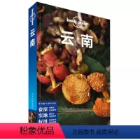 [正版]LP云南 孤独星球Lonely Planet旅行指南系列-云南