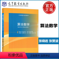 [正版] 算法数学 张晓岩 张赞波 孙建 算法理论与应用丛书 高等教育出版社