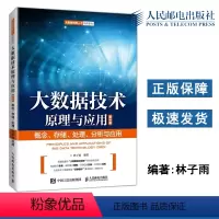 [正版] 大数据技术原理与应用——概念 存储 处理 分析与应用 第3版第三版 林子雨 大数据创新人才培养系列 人民邮