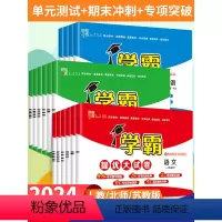 6本 [学霸作业本+提优大试卷]语+数+英(人教版) 三年级下 [正版]2024春小学学霸提优大试卷一年级下册二年级下四
