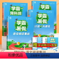 [全4本]阅读+预科班+计算+思维题 小学二年级 [正版]2023经纶学典学霸的暑假衔接一升二升三升四五六年级下册暑假作