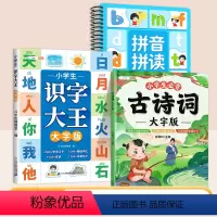 [全3册]识字大王+拼音拼读+古诗词 [正版]斗半匠识字书幼儿认字幼儿园学前识字大王大字版儿童小学生一年级上册下册生字识