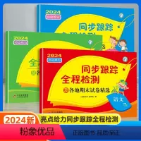 [3本]语数英(江苏专用) 三年级下 [正版]2024亮点给力同步跟踪全程检测大试卷一年级二年级三四五六上册下册语文人教