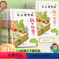 [语文课里的科学秘密AB版]上册+下册(2本) 小学六年级 [正版]木头马阅读系列语文课里的科学秘密一年级二年级三四五六