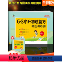 [正版]2024新版53小升初总复习语文试卷测试卷全套人教版六年级下册专项训练小学毕业考试真题卷系统模拟试卷五三5.3