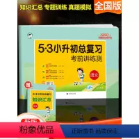 [正版]2024新版53小升初总复习语文试卷测试卷全套人教版六年级下册专项训练小学毕业考试真题卷系统模拟试卷五三5.3