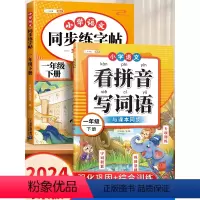 [字词强化]看拼音+同步字帖 一年级下 [正版]2024新一年级下册看拼音写词语练习人教版语文同步练字帖小学生练字帖每日