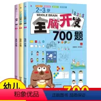 2-3岁全脑开发700题(全套3册) [正版]全脑开发700题2-3岁幼儿数学思维逻辑专项训练练习册早教益智启蒙游戏书幼