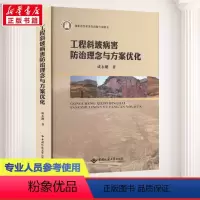 [正版]工程斜坡病害防治理念与方案优化 成永刚 著 地质学专业科技 书店图书籍 中国地质大学出版社