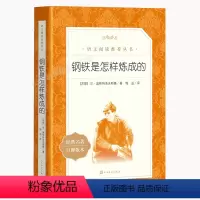 钢铁是怎样炼成的 [正版]钢铁是怎样炼成的原著八年级读必课外书下册语文阅读初二课外阅读书籍老师 的名著阅读初中生青少年无