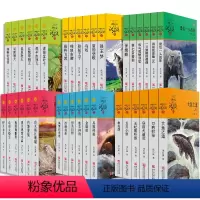 [全36册礼盒装]动物小说大王沈石溪·品藏书系 [正版]全36册礼盒装 沈石溪品藏书系动物小说全集 狼王梦沈石溪的书全套