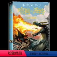 哈利·波特与火焰杯 [正版]哈利波特与火焰杯中文第四部少年读物外国儿童文学经典魔幻小说青少年书中小学生课外阅读书目读