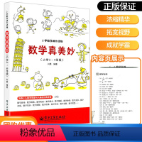 数学真美妙 3-4年级 [正版]2022新版数学真美妙3-4年级小学三四年级数学课外趣味读物思维训练举一反三强化训练练习