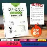 [正版]初中课外文言文阅读周计划 高效训练120篇 七年级/7年级上册下册通用版 初一课外阅读精典选文分类技法指导语文
