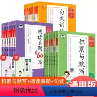 阅读+默写累积 小学一年级 [正版]2024新版53句式训练大全一二三四五六年级小学基础练60篇语文人教版上册下册5.3