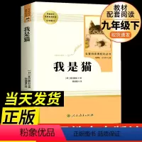 [正版]我是猫 原著书 九年级下册 人民教育出版社 初中版经典名著青少年初中生必读课外阅读书籍 人教版 无删减完整版书