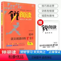 阅读训练5合1 九年级/初中三年级 [正版] 锐阅读 初中语文阅读训练5合1九年级 初中生中考语文阅读专项同步训练技巧