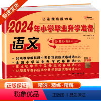 语文 小学升初中 [正版]2024春 小学毕业升学 语文 小升初模拟试卷总复习资料教辅书 六年级下册试卷重点练习 小学毕