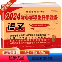 语文 小学升初中 [正版]2024春 小学毕业升学 语文 小升初模拟试卷总复习资料教辅书 六年级下册试卷重点练习 小学毕