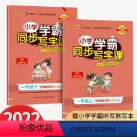 1年级语文 上册+下册 小学通用 [正版]小学学霸同步写字课一年级二年级三四五六年级上册下册语文英语练字帖人教版同步随堂