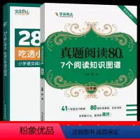 [三年级丨全2册]核心考点+真题阅读80篇 小学通用 [正版]28个核心考点吃透小学语文阅读一二三四五六年级人教版阅读理