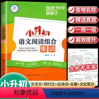 [升学必练!全套3册]语文阅读+小升初语数必刷题 小学升初中 [正版]小升初阅读理解专项训练语文阅读组合集训人教版六年级