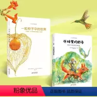 [全2册]一粒种子中的世界+丛林里的四季 [正版]一粒种子中的世界意大利自然教育绘本丛林里的四季生态科普大全春夏秋冬四季