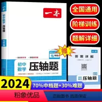 初中数学压轴题 九年级/初中三年级 [正版]2024版七年级数学压轴题初中数学有理数方程初一数学必刷题上册人教版数学解题