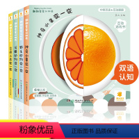 [全4册]宝宝早教翻翻书 [正版]阳光宝贝早教认知书全4册幼儿一岁到三岁撕不烂启蒙早教益智儿童绘本1-2周岁智力开发思维