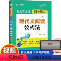 初中语文 现代文阅读公式法 初中通用 [正版]初中语文现代文阅读公式法 语文有方法 七八九年级语文文言文刷题真题专项训练
