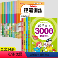 控笔训练+识字大王3000字(全套14册) [正版]儿童趣味控笔训练幼儿园中大班学前班笔画笔顺拼音数字点阵控笔训练字帖小