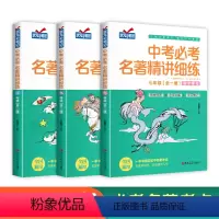 [七八九年级全3册]中考必考名著精讲细练 初中通用 [正版]初中名著导读考点精练七八九年级中考必考名著精讲细练一本通初一